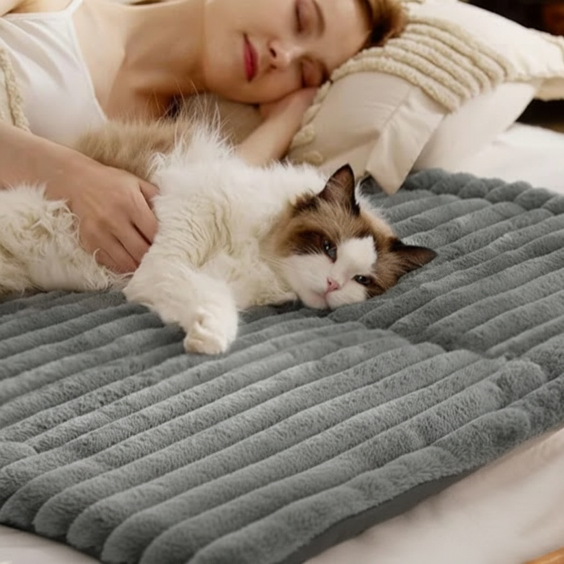 Self Warming Cat Mat
