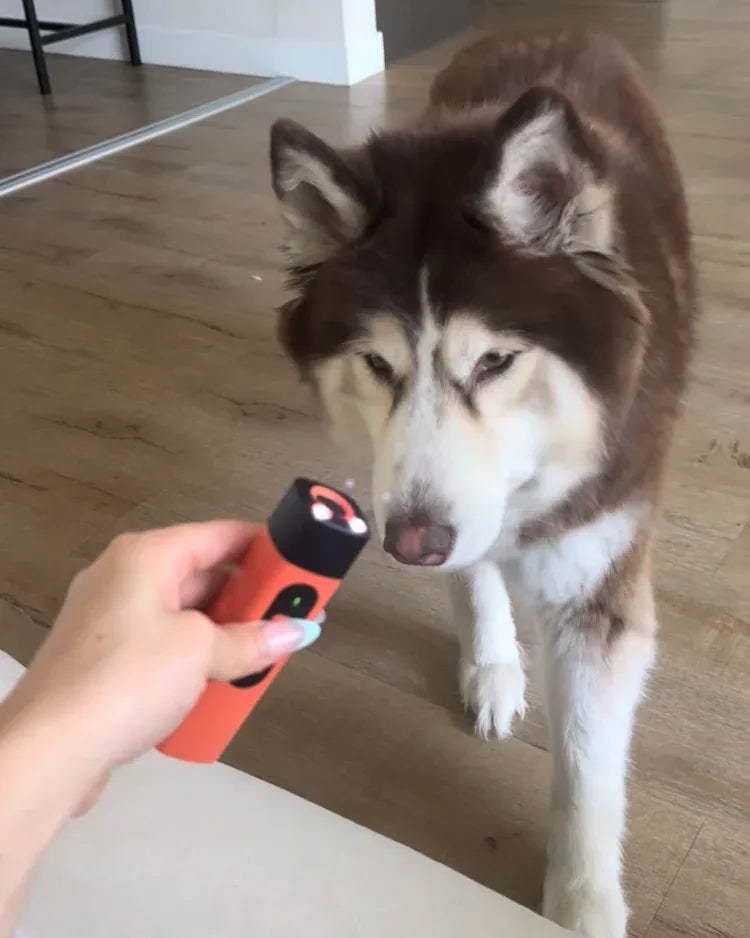 Anti Dog Bark Deterrent Device