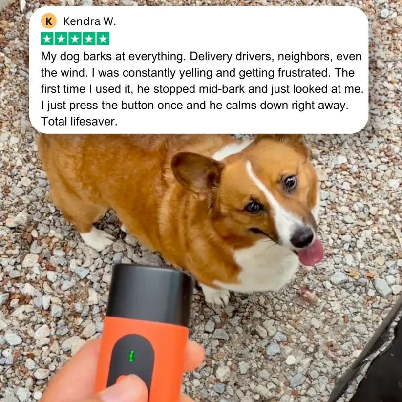 Anti Dog Bark Deterrent Device