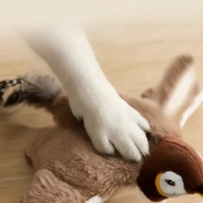 Cat Bird Toy