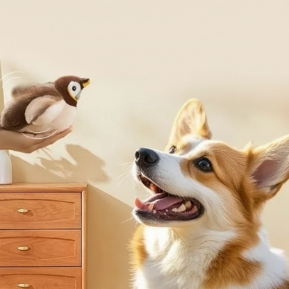 Cat Bird Toy