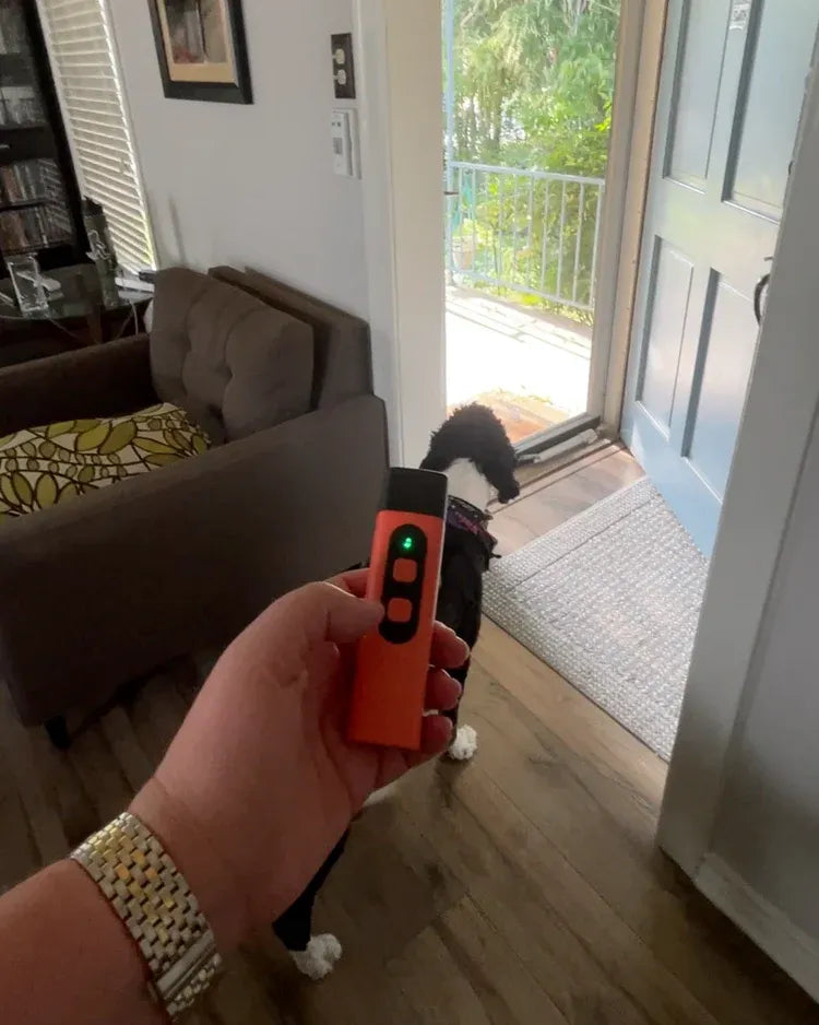 Anti Dog Bark Deterrent Device
