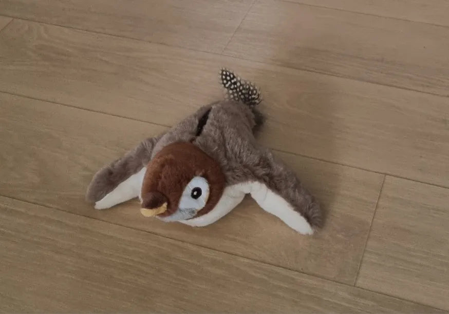 Cat Bird Toy