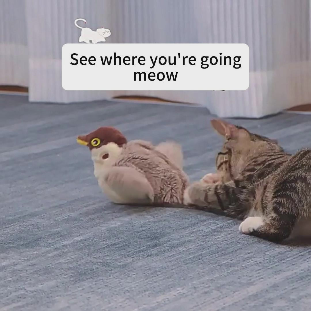 Cat Bird Toy