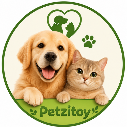 Petzitoy