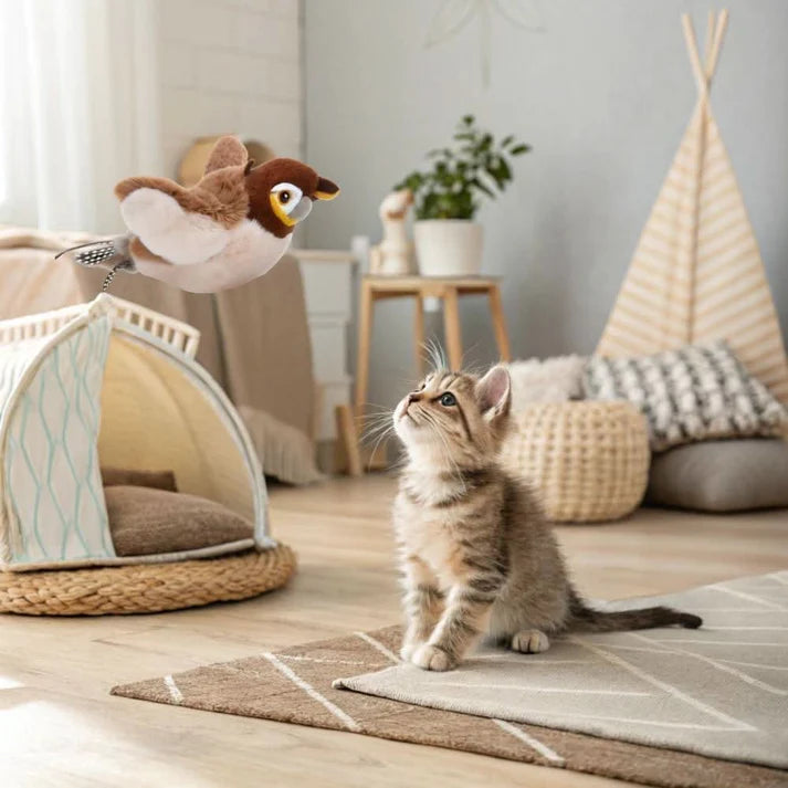 Cat Bird Toy