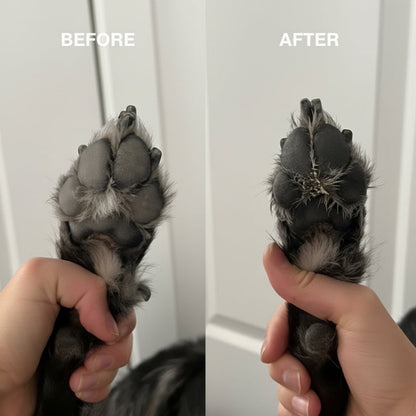 Pet electric foot washer